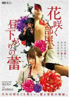 银白象限电影光谱卡封面